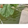 Buy cheap PP Materials Plant Climbing Netting Insect Barrier Netting 3.0M Wide from wholesalers