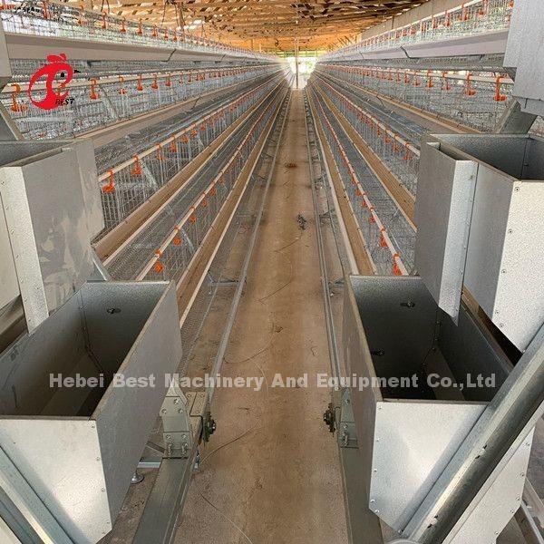 Quality 16 Weeks Egg Laying Hen A Or H Frame Automated Layer Cages 15000 Birds Emily for sale