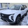 Buy cheap Hyundai Ix35 2.0L Automatic Two Drive Gasoline SUV Noble LUX Edition from wholesalers