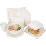 Disposable Compostable Takeaway Bagasse Food Tray