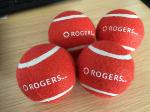 pet toy rubber tennis ball