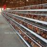 Buy cheap Discount A Type Poultry Battery Cage For Layer Sale 160 birds In Zambia Adela from wholesalers