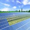 Buy cheap Corrosion Resistant Agricultural Greenhouse Solar System from wholesalers