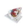 Buy cheap PVC Eyeball Model Anatomy Ophthalmic Magnification 3 Times from wholesalers