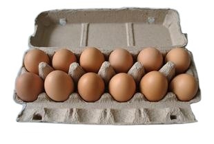 Eco Friendly Reciprocating Rotary Egg Tray Forming Machine With Hot Air Drying