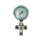 150mm Diaphragm flange pressure gauge