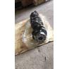 Buy cheap Heavy Truck Crankshafts YC6108ZQB Diesel Engine Parts A2000-1005001-N76 from wholesalers