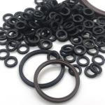 Rubber Seals NBR FKM HNBR EPDM CR ISO9001 Certified