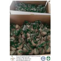 Buy cheap Garlic to Columbia; package: 3 pieces in 10 kg carton box; Size: 4.5-5.0 cm; product