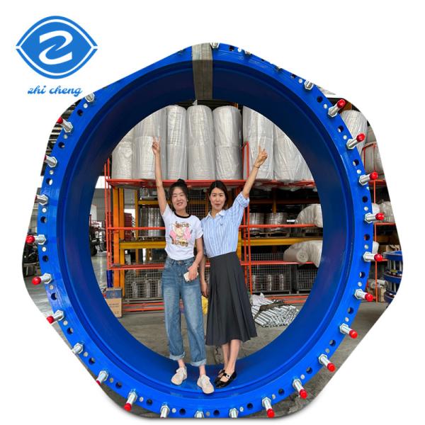 Buy cheap Flange Dismantling Telescopic Joint For Hdpe Pipe ISO Drilling Double Flange Cast Iron Valve Fittings from wholesalers