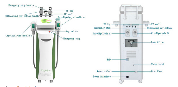 New style 5 handles multifunctional 3 in 1 cryolipolysis slimming machie