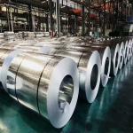 Bright DX51D Z275 Galvanized Steel Coil DX52D Z200 GI Roof Sheet Customized