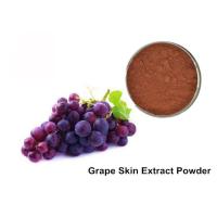 Buy cheap 25% Anthocyanins Pure Grapeseed / Grape Skin Extract Powder product