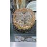 Buy cheap Decorative Glass Mosaic Vacuum Coating Machine Pvd Coating Equipment from wholesalers