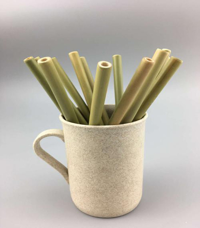 Custom Natural Biodegradable Bamboo Straws 20cm Reusable Straight Straws With Brush