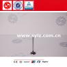 Buy cheap Hot sale Chinese Cummins Engine parts 3921444 Diesel Motor DCEC exhaust valve from wholesalers