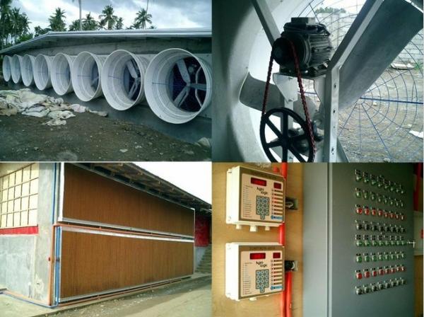 Buy cheap News - cooling pad,exhaust fan,poultry fan,cone fan - NorthHusbandry Machinery from wholesalers