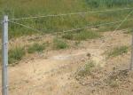 Guard Against Theft Hot Dipped Galvanized Barbed Wire 2.0 - 3.5mm