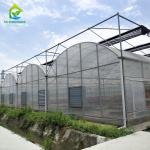 UV Protection Greenhouse Cover Materials High Strength PE Stretch Film