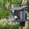Buy cheap Wireless Smart Bird Feeder Camera Plastic Material 2.5L Capacity OEM ODM from wholesalers
