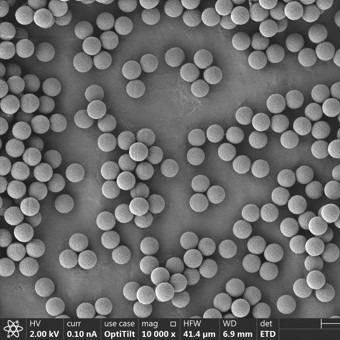 Buy cheap Immunodiagnosis Polymer Carboxyl Magbeads 2.8μm 10 mg / mL 5 mL from wholesalers