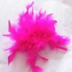 Stage Performance Dance Wear Accessories Lovely Purple Feather Headpiece