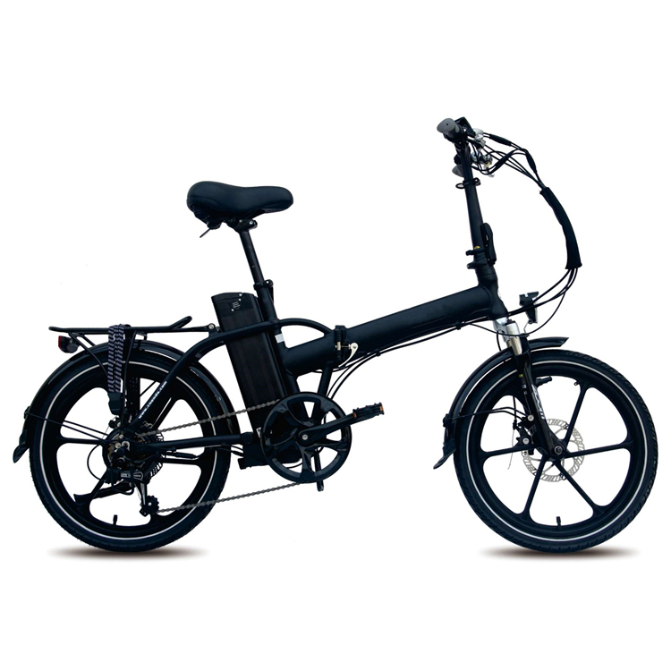 Dolphin Shape 36v 10ah Electric Hybrid Bike Fast Charging