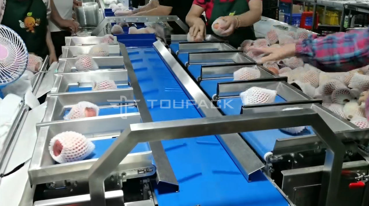 Pear Apple Weighing Fruit Combination Scale 12 Head Hand Loading Weighing Machine