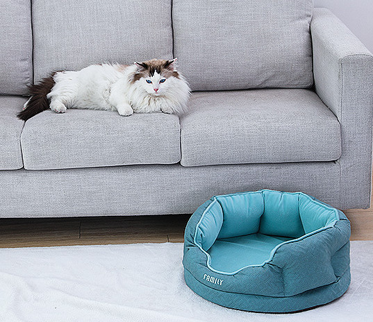 funky cat beds