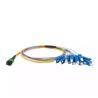 Buy cheap SM 12 Fiber SC FTTH Fiber Optic Pigtail 3 M MPO / MTP from wholesalers
