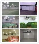 500 Tons Cold Room Freezer Room for Butcher Shop Freon Refrigerant and Direct