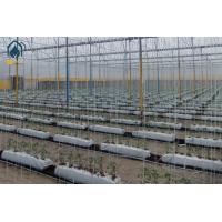 Buy cheap Cocopeat Hydroponic Grow Trough Systems For Growing Roses Tomatos Vegetables product