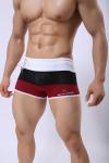 Anti-Bacterial Men Mesh Shorts Disposable Swimming Clothing Mesh Boxers