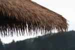 Hotel Ceiling Tile Natural Thatching Material / Eco Friendly Thatch Roofin With