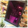 Buy cheap Best Selling 201 304 316 430 PVD Titanium Coating Stainless Steel Sheet Price from wholesalers