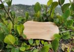 Acacia Wood & Rubber Wood Jar Adjustable Salt & Pepper Grinder Mushroom Style