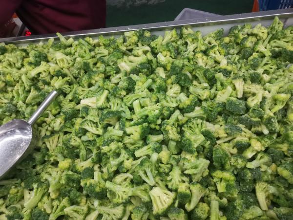 Buy cheap IQF Broccoli Florets 3-4cm / 4-5cm Frozen Green Vegetables BRC from wholesalers