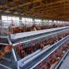 Buy cheap Hot Dip Galvanized Egg Layer Chicken Cage A Type Battery 96 Birds 128 Birds Poultry Farm from wholesalers
