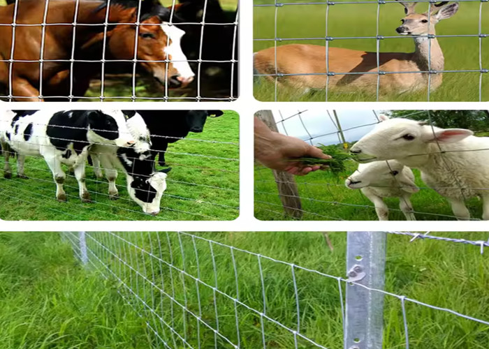 5ft 8ft 10ft Galvanized Livestock metal Cattle Fence Farm Gate