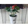Buy cheap Green Plastic Metal Wire Compost Container 450 Liter Easily Install 690X890mm from wholesalers