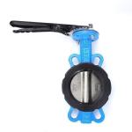ANSI CF8 EPDM PTFE Strong Acid Ductile Iron Lever Opreated Wafer Lug Butterfly