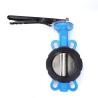 Buy cheap ANSI CF8 EPDM PTFE Strong Acid Ductile Iron Lever Opreated Wafer Lug Butterfly Valve from wholesalers