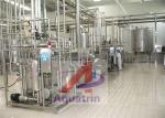 Automatic Pet Bottle Fruit Juice Beveragen Hot Filling Machine Fresh Juice