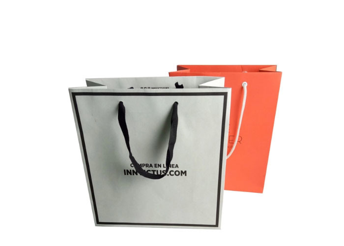Fashionable Paper Shopping Bags Matt / Glossy Lamination Surface Handling