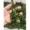 Buy cheap Crispy Umami Ulva Ao Nori Dried Green Seaweed 10kg Bag With HACCP Certification from wholesalers