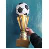 Buy cheap Sports Competition Resin Trophy With Customize Logo from wholesalers