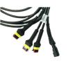 Buy cheap Agricultural Machinery Engine wire harness LIYY automotive cable harness ODM from wholesalers