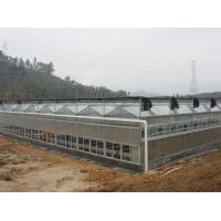 Buy cheap Sound Insulation PC Rigid Plastic Sheets Greenhouse Grade B1 Retardant Standard product