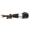 Buy cheap 37106877555 37106877556 Air Suspension Shock Core For G11 G12 7 Series Front Air Suspension Shock Strut from wholesalers
