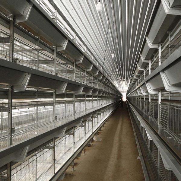 Buy cheap 24.5in Width Egg Laying Chicken Cage 10 Birds / Cage Hopper Feeding from wholesalers